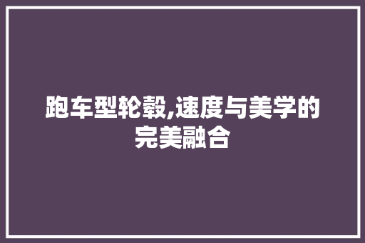 跑车型轮毂,速度与美学的完美融合