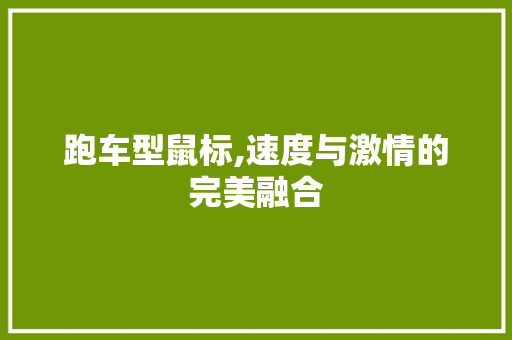 跑车型鼠标,速度与激情的完美融合