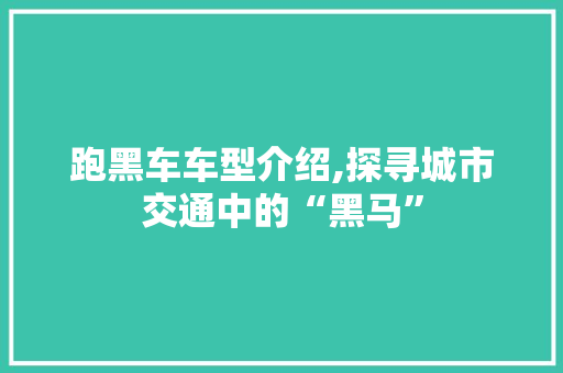 跑黑车车型介绍,探寻城市交通中的“黑马”