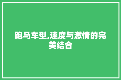 跑马车型,速度与激情的完美结合
