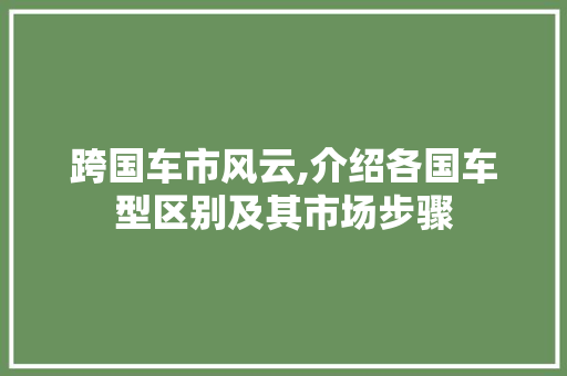 跨国车市风云,介绍各国车型区别及其市场步骤