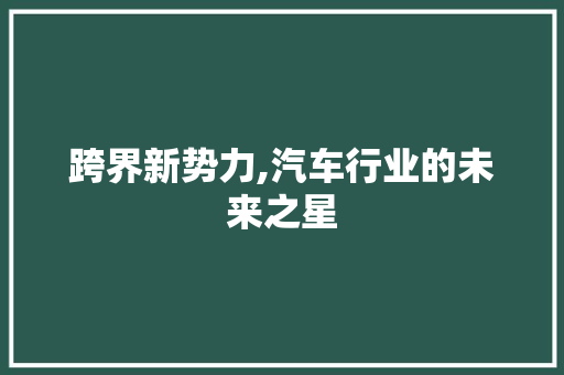跨界新势力,汽车行业的未来之星