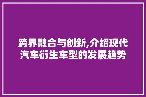 跨界融合与创新,介绍现代汽车衍生车型的发展趋势