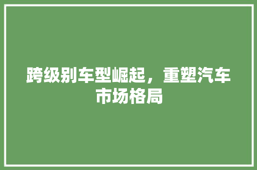 跨级别车型崛起，重塑汽车市场格局