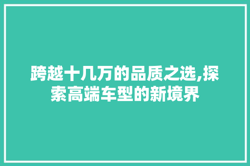 跨越十几万的品质之选,探索高端车型的新境界