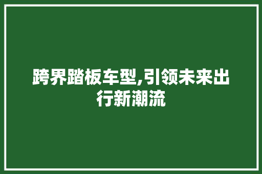 跨界踏板车型,引领未来出行新潮流