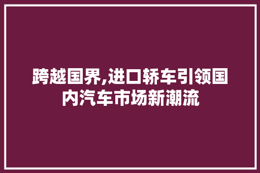 跨越国界,进口轿车引领国内汽车市场新潮流