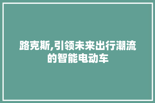 路克斯,引领未来出行潮流的智能电动车