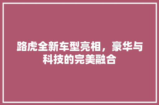 路虎全新车型亮相，豪华与科技的完美融合