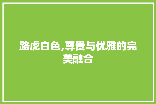 路虎白色,尊贵与优雅的完美融合
