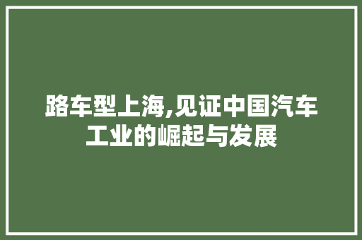 路车型上海,见证中国汽车工业的崛起与发展
