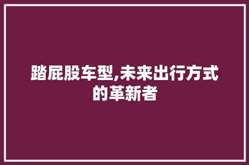 踏屁股车型,未来出行方式的革新者
