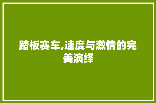 踏板赛车,速度与激情的完美演绎