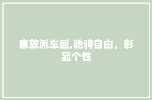豪放派车型,驰骋自由，彰显个性