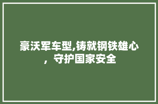 豪沃军车型,铸就钢铁雄心，守护国家安全