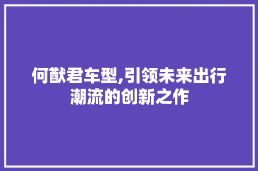 何猷君车型,引领未来出行潮流的创新之作