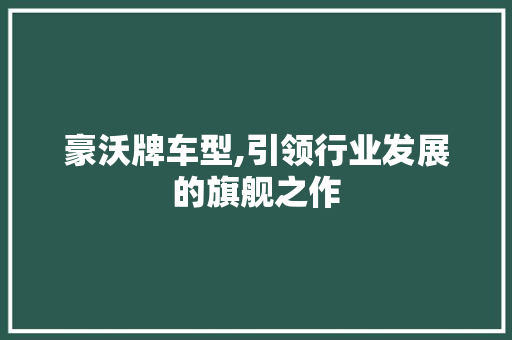 豪沃牌车型,引领行业发展的旗舰之作