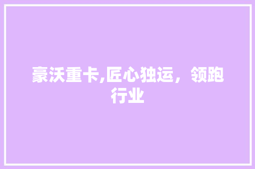 豪沃重卡,匠心独运，领跑行业