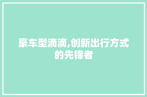 豪车型滴滴,创新出行方式的先锋者