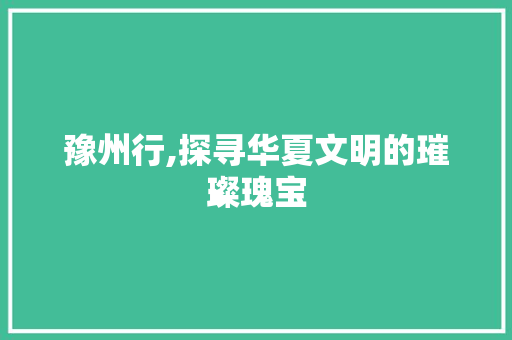 豫州行,探寻华夏文明的璀璨瑰宝