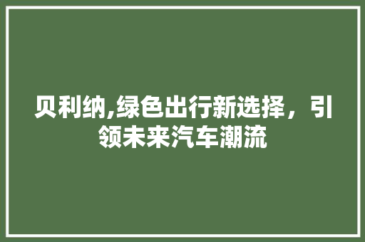 贝利纳,绿色出行新选择，引领未来汽车潮流