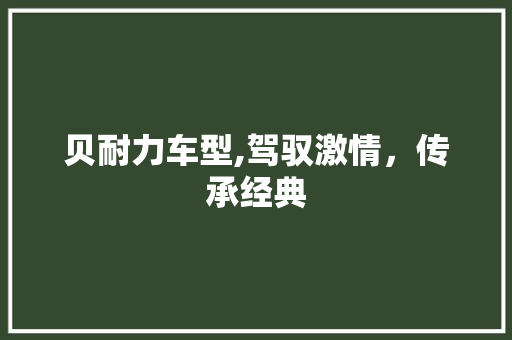 贝耐力车型,驾驭激情，传承经典