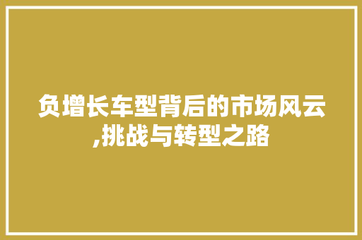 负增长车型背后的市场风云,挑战与转型之路