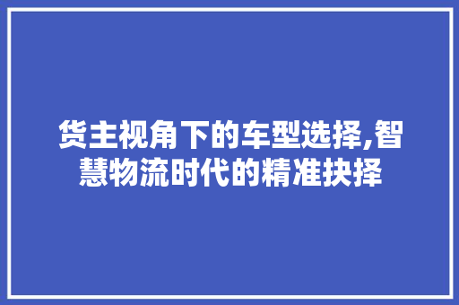 货主视角下的车型选择,智慧物流时代的精准抉择
