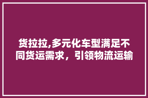 货拉拉,多元化车型满足不同货运需求，引领物流运输新潮流