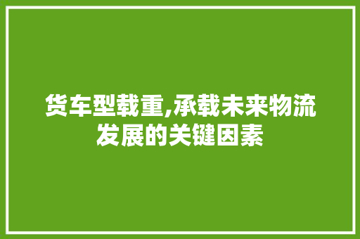 货车型载重,承载未来物流发展的关键因素