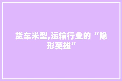 货车米型,运输行业的“隐形英雄”
