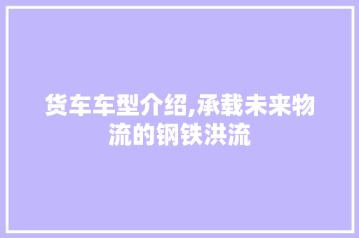 货车车型介绍,承载未来物流的钢铁洪流