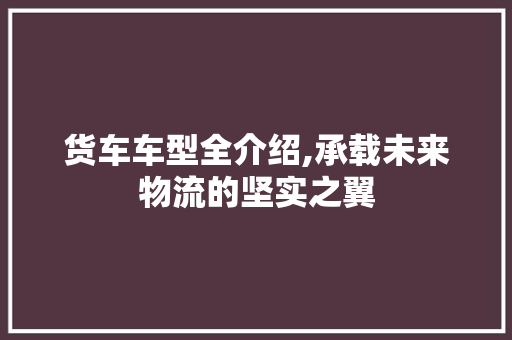 货车车型全介绍,承载未来物流的坚实之翼