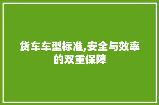 货车车型标准,安全与效率的双重保障
