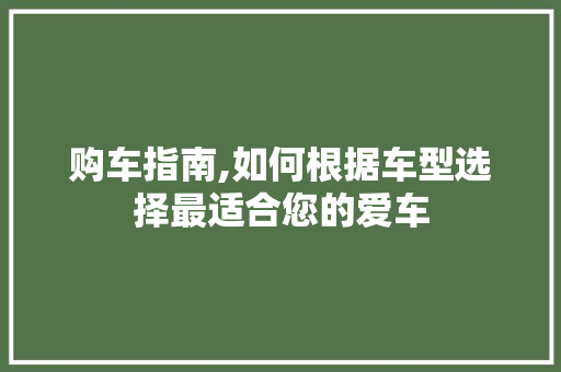 购车指南,如何根据车型选择最适合您的爱车