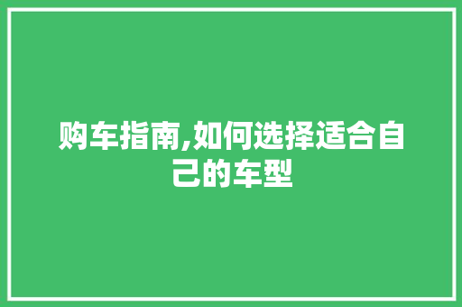 购车指南,如何选择适合自己的车型