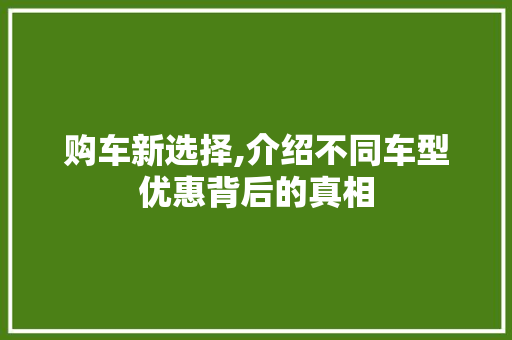 购车新选择,介绍不同车型优惠背后的真相