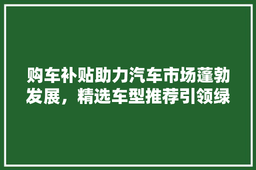 购车补贴助力汽车市场蓬勃发展，精选车型推荐引领绿色出行新风尚
