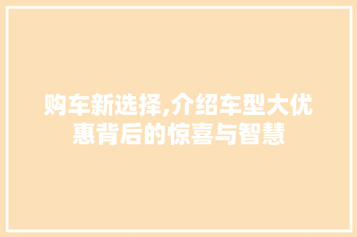 购车新选择,介绍车型大优惠背后的惊喜与智慧
