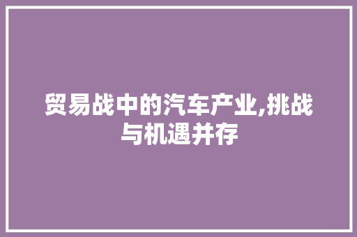 贸易战中的汽车产业,挑战与机遇并存