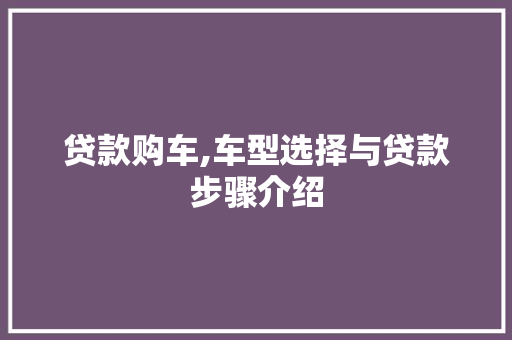 贷款购车,车型选择与贷款步骤介绍
