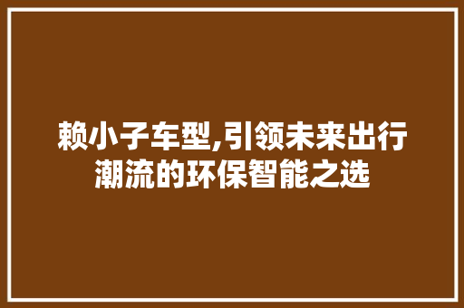 赖小子车型,引领未来出行潮流的环保智能之选