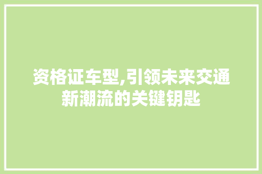 资格证车型,引领未来交通新潮流的关键钥匙