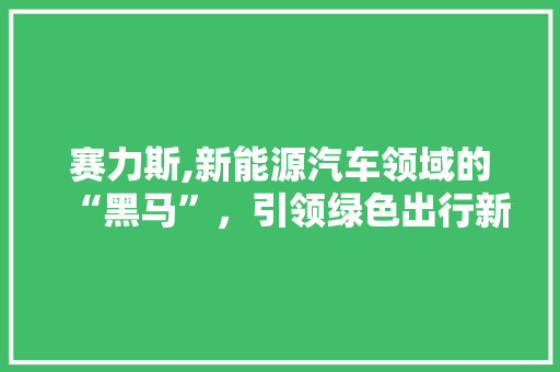 赛力斯,新能源汽车领域的“黑马”，引领绿色出行新潮流