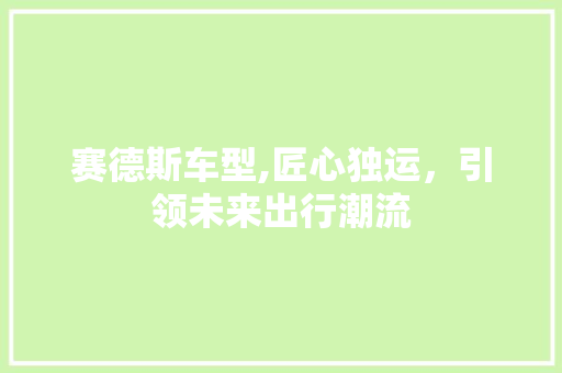 赛德斯车型,匠心独运，引领未来出行潮流