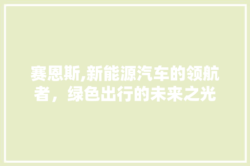 赛恩斯,新能源汽车的领航者，绿色出行的未来之光