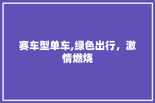 赛车型单车,绿色出行，激情燃烧