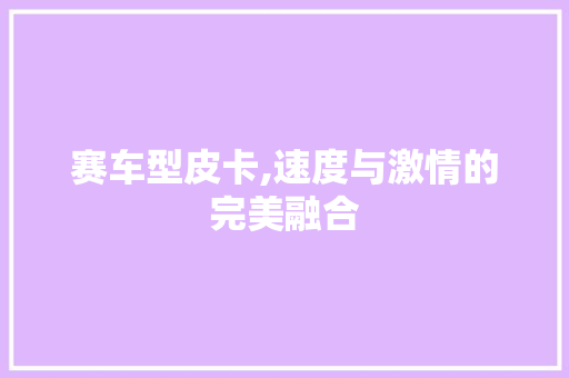 赛车型皮卡,速度与激情的完美融合
