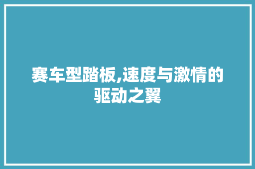 赛车型踏板,速度与激情的驱动之翼
