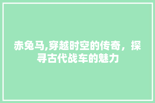 赤兔马,穿越时空的传奇，探寻古代战车的魅力